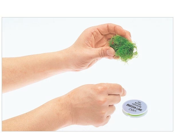 ADA - Riccia Line - 50m 2 ADA - Riccia Line - 50m – Bild 2