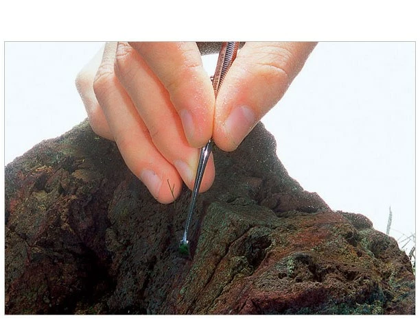 ADA - Pro Picker 2 ADA - Pro Picker – Bild 2