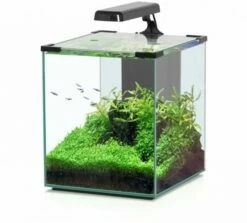 Aquatlantis - Nano Cubic 30 - Komplett-Aquarium Ohne Unterschrank