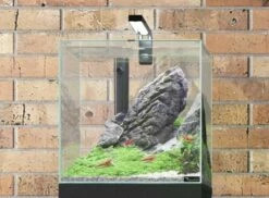 Aquatlantis - Kubus - Komplett-Aquarium Ohne Unterschrank -Aquael Shop 20210511112710 7bRFwAhm resize w 690 kar 1 q 100 1280x1280