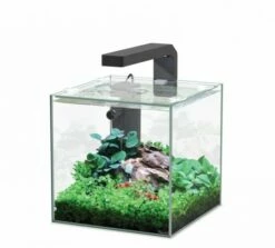 Aquatlantis - Kubus - Komplett-Aquarium Ohne Unterschrank