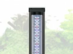 Aquatlantis - Aquaplasma 95 - Komplett-Aquarium 7 Aquatlantis - Aquaplasma 95 - Komplett-Aquarium -Aquael Shop 20210730121736 I9Tgb4E1 resize w 690 kar 1 q 10058AKp1qpYi3wW 1280x1280