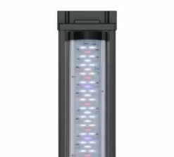 Aquatlantis - Prestige 80 - Aquarium-Kombination Mit Stand Regal -Aquael Shop 20210909103123 W6Ps6EyF resize w 384 kar 1 q 100 1280x1280