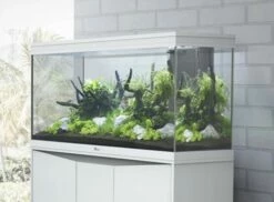 Aquatlantis - Splendid 240 - Aquarium-Kombination Mit Unterschrank 9 Aquatlantis - Splendid 240 - Aquarium-Kombination Mit Unterschrank -Aquael Shop 20211123081426 PR8TSwAG resize w 690 kar 1 q 1002xRpBG17Vi54z 1280x1280