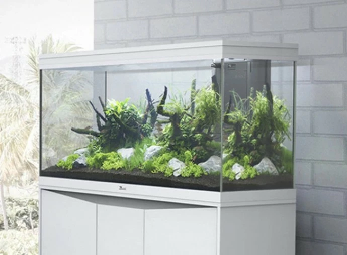 Aquatlantis - Splendid 240 - Aquarium-Kombination Mit Unterschrank 5 Aquatlantis - Splendid 240 - Aquarium-Kombination Mit Unterschrank – Bild 5