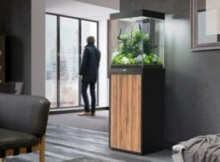 Aquatlantis - Aqua Tower 96 - Aquarium-Kombination Mit Unterschrank -Aquael Shop 20221123111619 MbqSKM4p resize w 690 kar 1 q 100l3axRhsiexZ3C 1280x1280