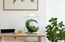 Aquael - Aquarienset SHRIMP SET / Day & Night -Aquael Shop 45a122981 2 1280x1280