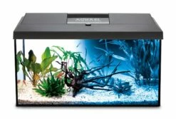 Aquael - Aquarienset LEDDY 2.0 – Day & Night -Aquael Shop 45a124282 Black Leddy DayundNight 1280x1280
