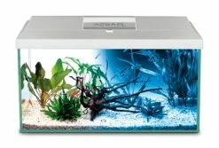 Aquael - Aquarienset LEDDY 2.0 – Day & Night -Aquael Shop 45a124287 1 1280x1280
