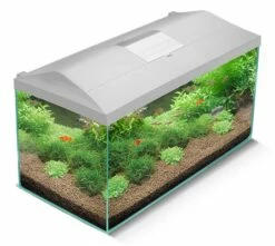 Aquael - Aquarienset LEDDY 2.0 – Day & Night