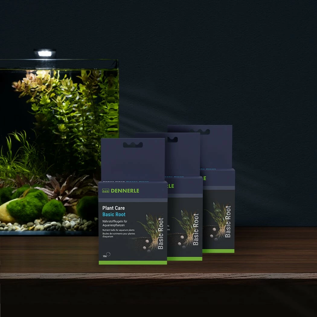 Dennerle Plant Care Basic Root - 40x 2 Dennerle Plant Care Basic Root - 40x – Bild 2