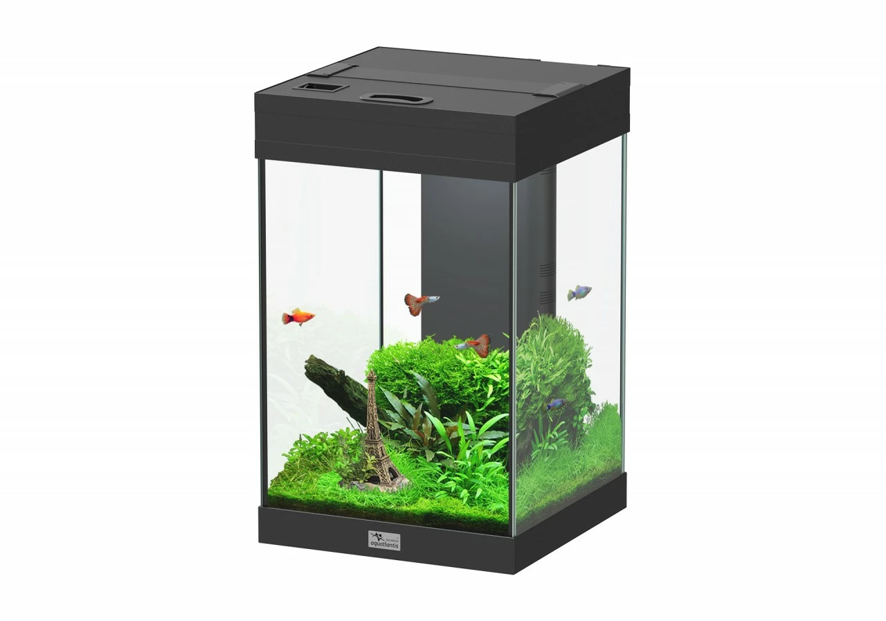 Aquatlantis - Aqua Tower 43 - Komplett-Aquarium Ohne Unterschrank 1 Aquatlantis - Aqua Tower 43 - Komplett-Aquarium Ohne Unterschrank