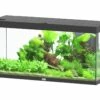 Aquatlantis - Splendid 240 - Komplett-Aquarium Ohne Unterschrank