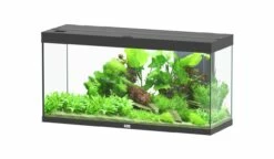 Aquatlantis - Splendid 240 - Komplett-Aquarium Ohne Unterschrank