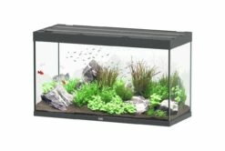 Aquatlantis - Sublime 335 - Komplett-Aquarium Ohne Unterschrank
