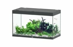 Aquatlantis - Sublime 245 - Komplett-Aquarium Ohne Unterschrank