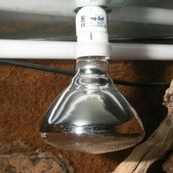 JBL UV Spot Plus 7 JBL UV Spot Plus -Aquael Shop 63260 1280x1280