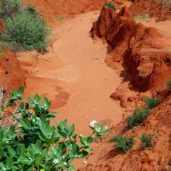 JBL TerraSand Natural Red 7,5kg -Aquael Shop 65168 1280x1280