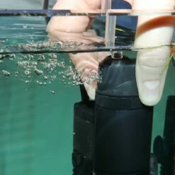 JBL PROCRISTAL I30 -Aquael Shop 77203 1280x1280