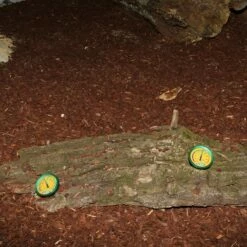 JBL TerraControl - Hygrometer + Thermometer 12 JBL TerraControl - Hygrometer + Thermometer -Aquael Shop 87476 1280x1280