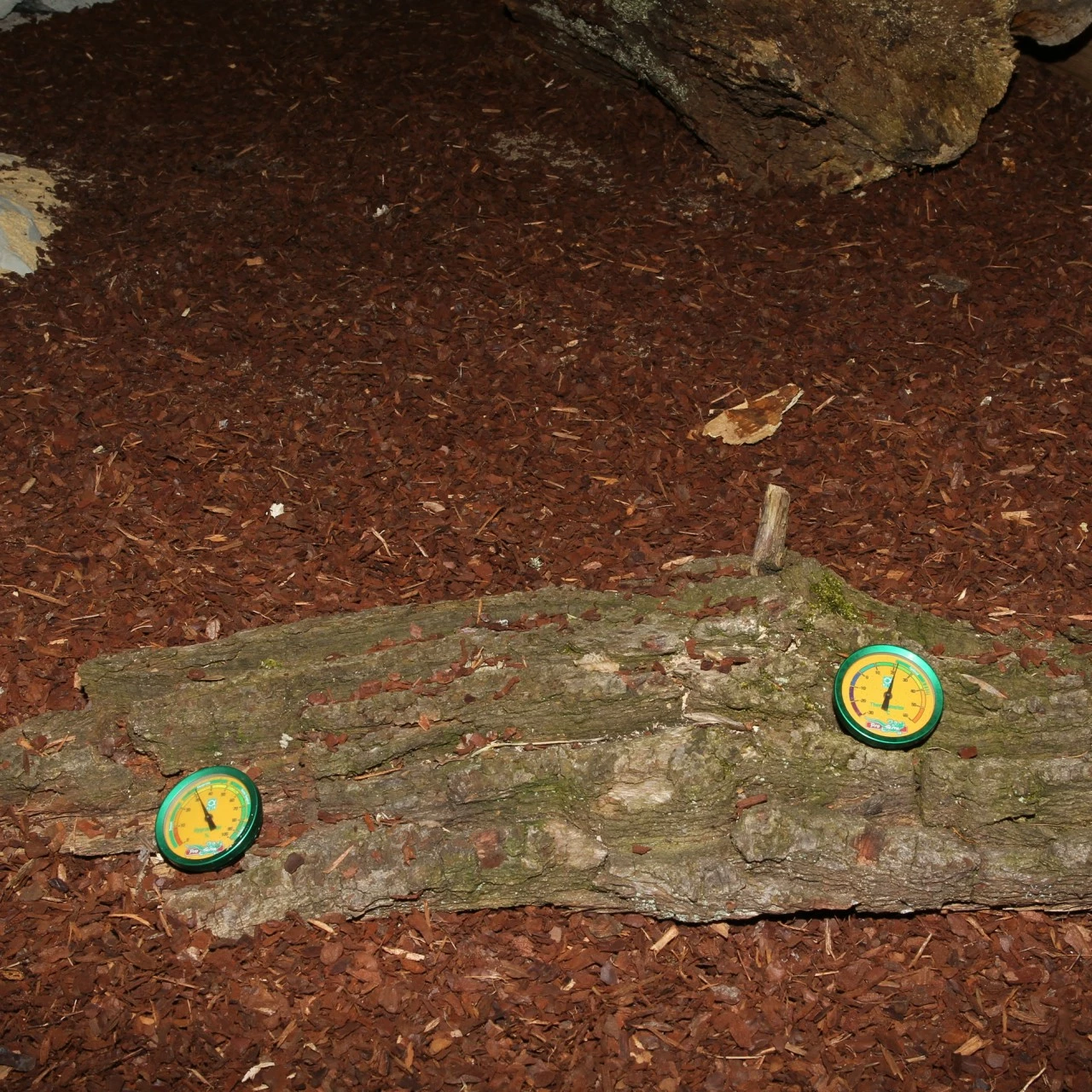 JBL TerraControl - Hygrometer + Thermometer 5 JBL TerraControl - Hygrometer + Thermometer – Bild 5