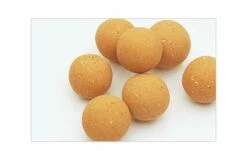 Aquael Shop -Aquael Shop Bacter Ball 021NwlVxr58eyrv 1280x1280