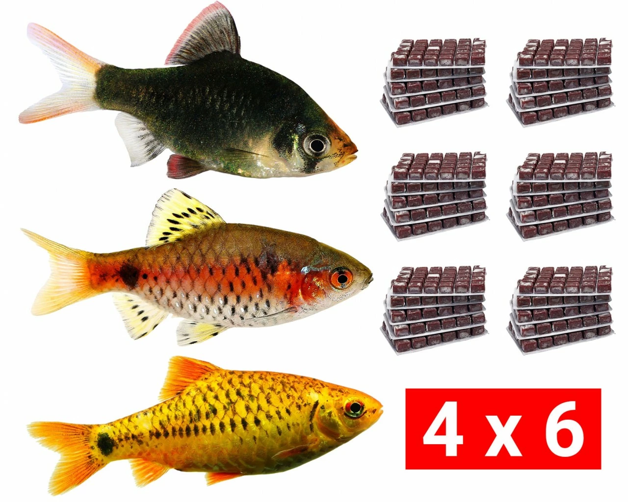 Frozen Food Bundle For Barbs - 24 Pcs. 1 Frozen Food Bundle For Barbs - 24 Pcs.