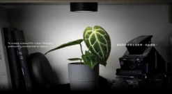 ONF MIST O - Magnetic Plant Light -Aquael Shop Bildschirmfoto 2022 06 24 um 08 28 12 1280x1280