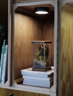 ONF MIST O - Magnetic Plant Light -Aquael Shop Bildschirmfoto 2022 06 24 um 08 29 33 1280x1280