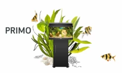 Juwel - Primo 70 - Complete Aquarium Without Base Cabinet -Aquael Shop Bildschirmfoto 2023 03 07 um 11 32 16TYvSJe4joTm2y 1280x1280