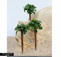 Bonsai Palm With Anubias Nana Bonsai - Dennerle -Aquael Shop Bonsai Palme aquarium anubia2Hpo5eMPyUQqdD 1280x1280