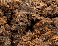 Chris And Olis - Crunchy Cream - 100g 5 Chris And Olis - Crunchy Cream - 100g -Aquael Shop ChrisOliPudding min 1280x1280