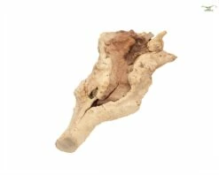 Terrarium Climbing Root About 20-30 Cm -Aquael Shop DSC025108FIUxCdkIGpqd 1280x1280