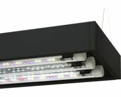 Aquael - Weißglas Aquarium ULTRASCAPE – Inkl LED -Aquael Shop DV 8 10578031 05 4c DE 20220830221658 1280x1280