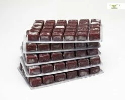 Frozen Food Bundle - 24 Pcs. -Aquael Shop Frostfutter Rote Mu ckenlarvenhGYh4rpF7FwQp 1280x1280