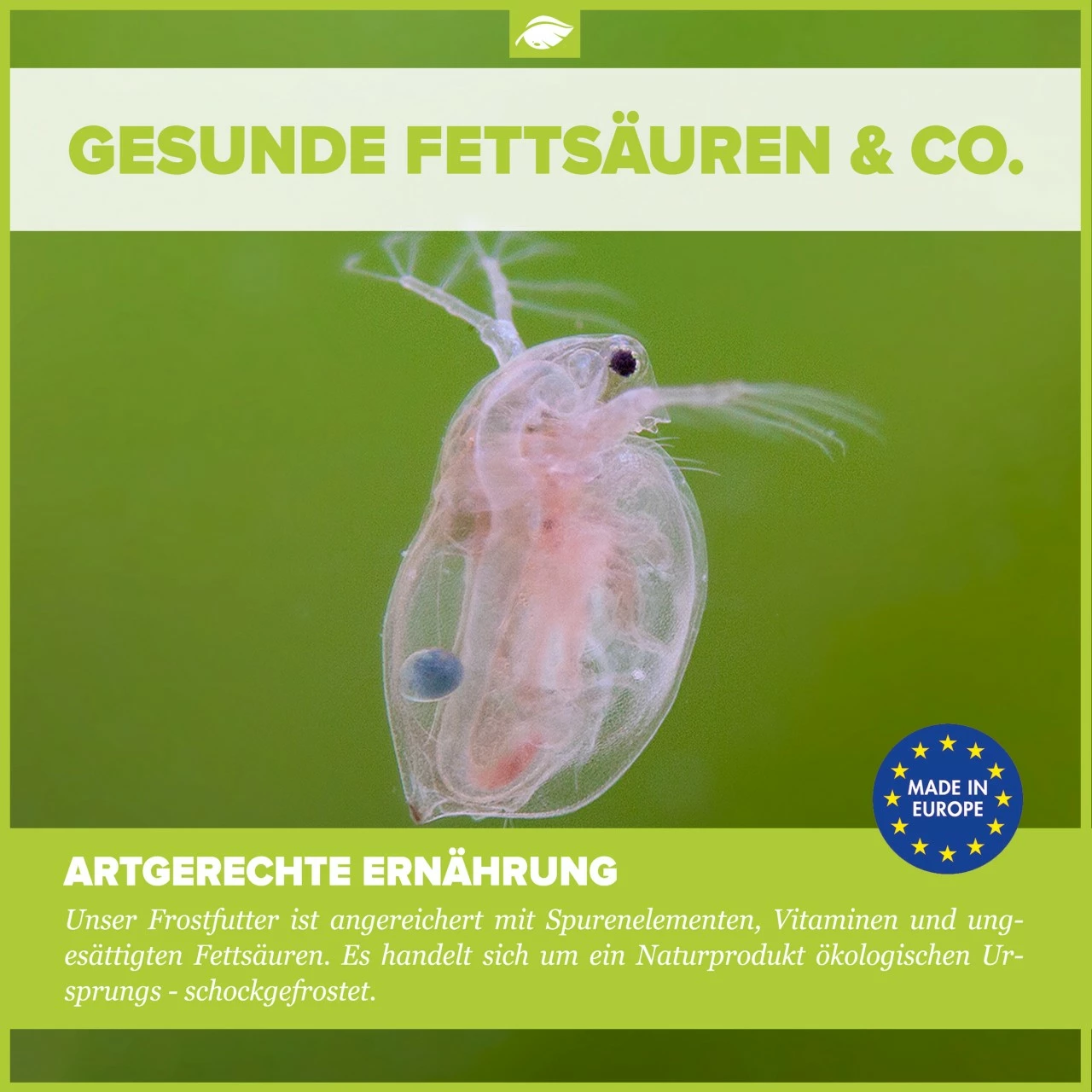 Frozen Food Bundle For Tetras And Danios - 24 Pcs. 2 Frozen Food Bundle For Tetras And Danios - 24 Pcs. – Bild 2