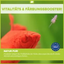 Frozen Food Bundle For Gobies - 24 Pcs. -Aquael Shop Frostfutter3AeNxiJuira1q1 1280x1280