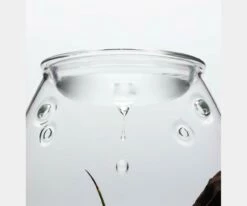 DOOA - Glass Pot SHIZUKU 6 DOOA - Glass Pot SHIZUKU -Aquael Shop GlassPotSHIZUKUdropshoppySoTUO1Kj8mo 1280x1280