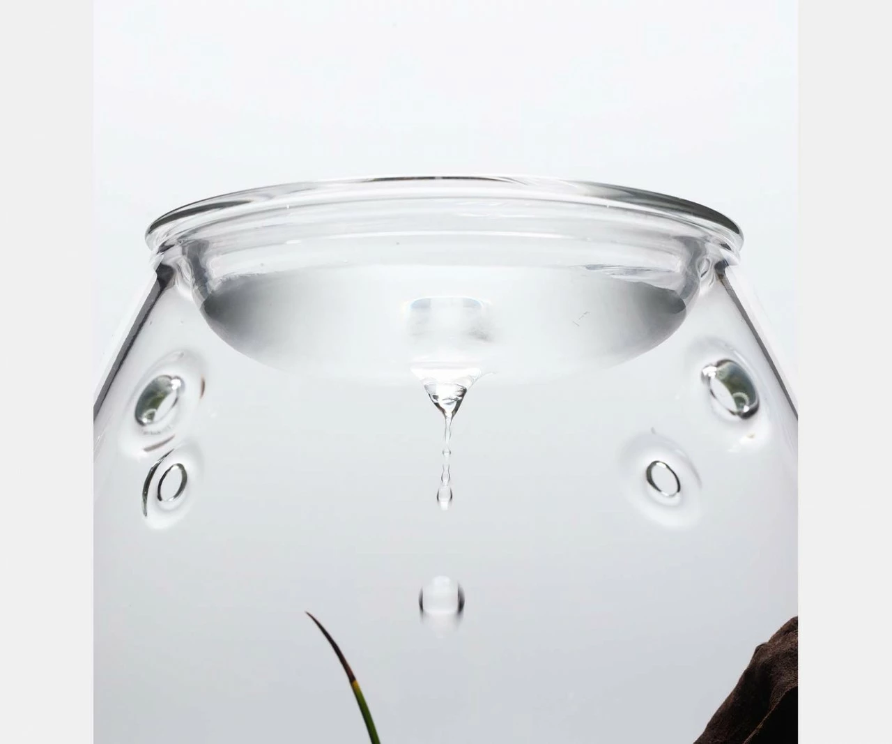 DOOA - Glass Pot SHIZUKU 3 DOOA - Glass Pot SHIZUKU – Bild 3