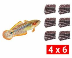 Frozen Food Bundle For Gobies - 24 Pcs.