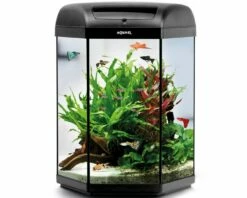 Aquael Hexa Set II 60