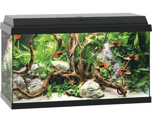 Juwel - Primo 60 Black - Complete Aquarium Without Base Cabinet 1 Juwel - Primo 60 Black - Complete Aquarium Without Base Cabinet