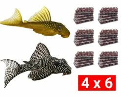 Frozen Food Bundle For Uric And L Catfish - 24 Pcs.