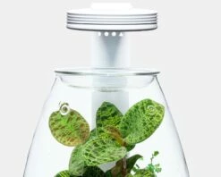 DOOA - Magnet Light Arm - For Wood Base SHIKUZU -Aquael Shop MagnetlightG1shopFuDz7qpVNOr5C 1280x1280