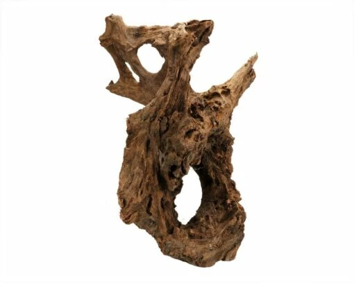 Mangrove Root Jumbo & Medium -Aquael Shop Mangrove xlDSC025372poJBLKb1bgJk 1280x1280