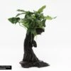 Jungle Tree Mbuna - Small With Anubias Nana - Dennerle