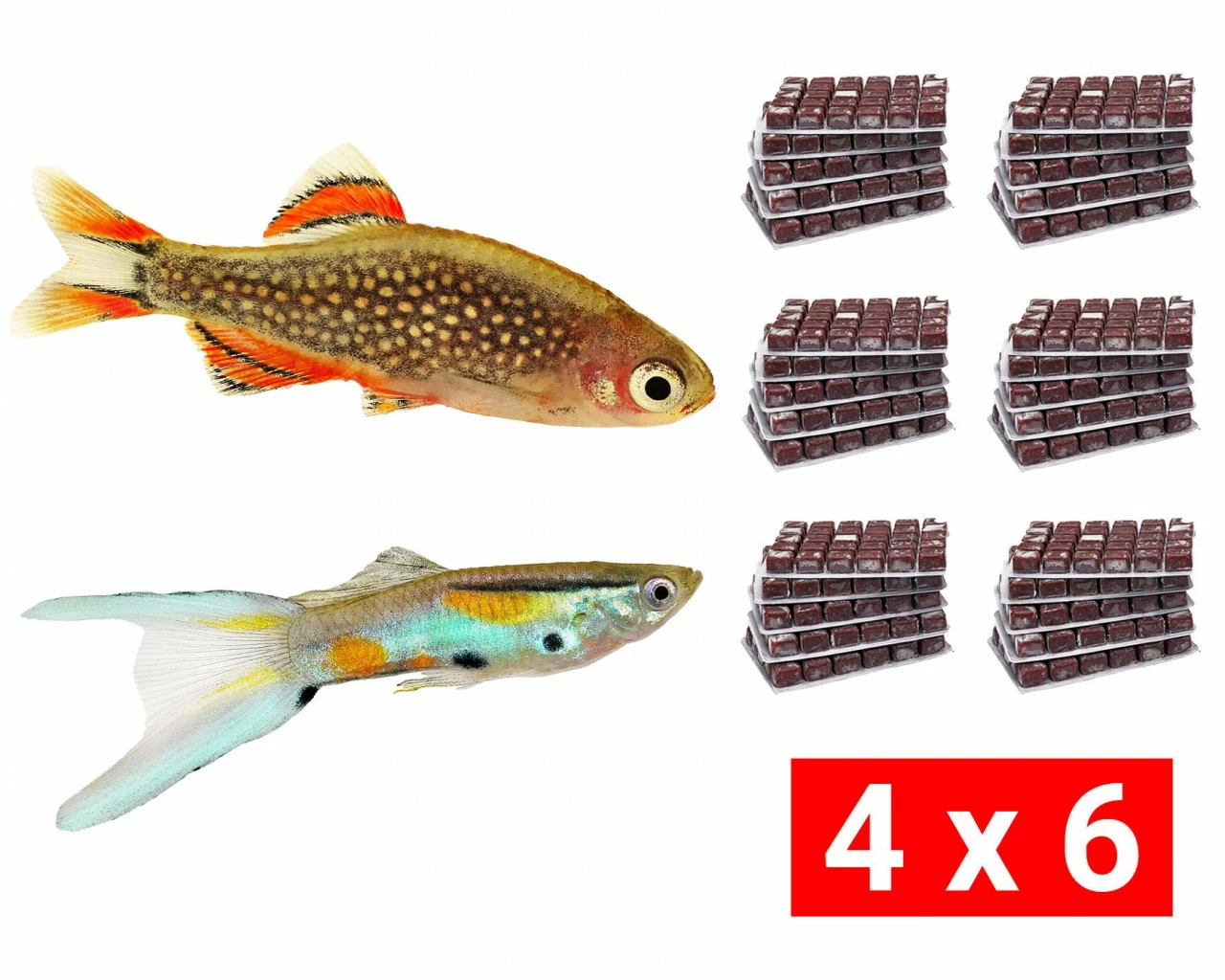 Frozen Food Bundle For Nano And Mini Fish - 24 Pcs. 1 Frozen Food Bundle For Nano And Mini Fish - 24 Pcs.