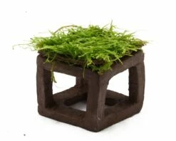 Mooscube XXL With Moss - Aquarium Deco -Aquael Shop Mooscube javat40E1l5StTLKo 1280x1280