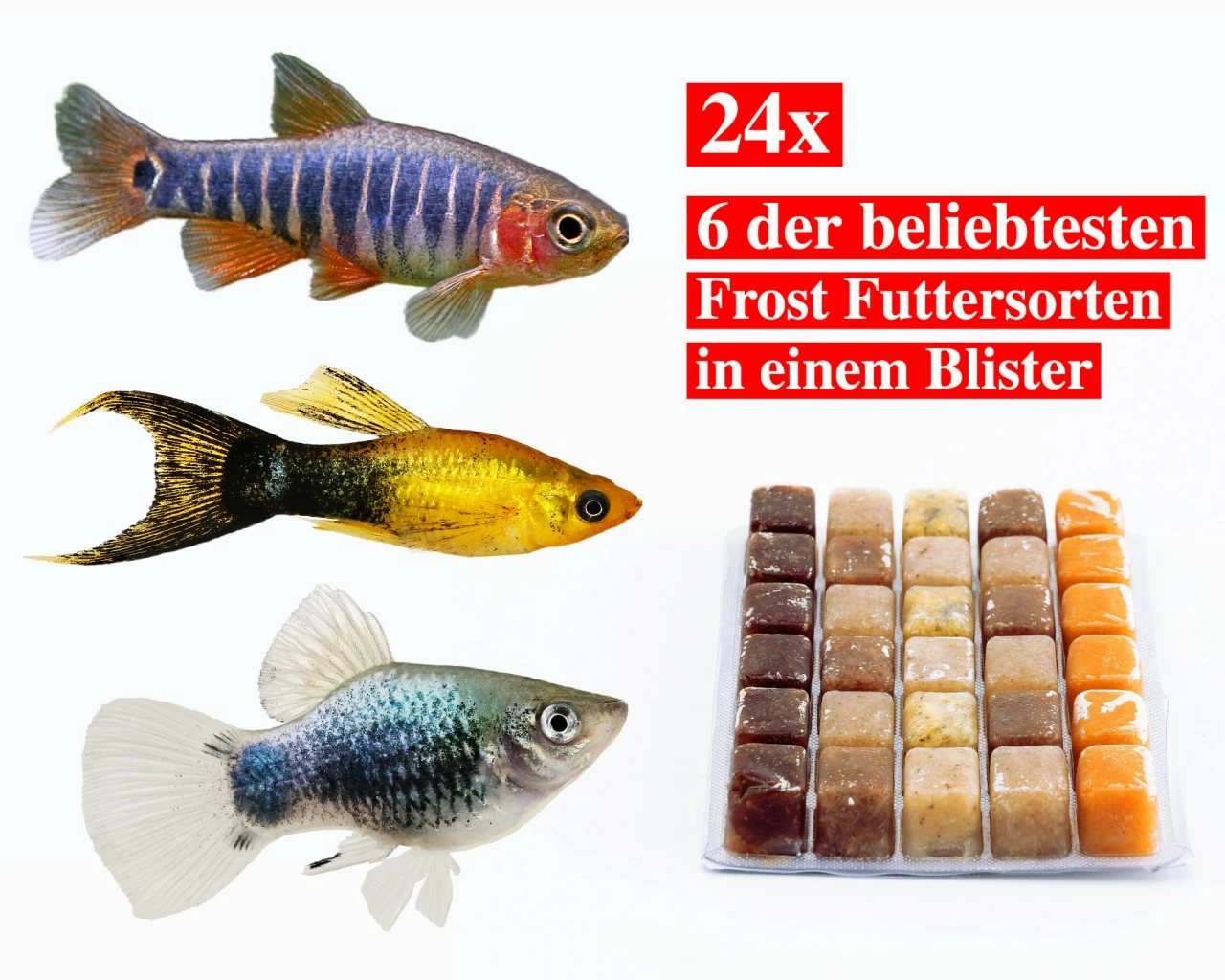 Best Of Frozen Food Mix (Top Seller) - 24 Pcs. 1 Best Of Frozen Food Mix (Top Seller) - 24 Pcs.