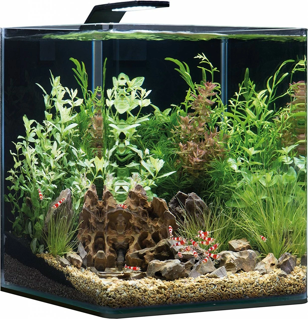 Dennerle Nano Cube Aquarium - STYLE LED - Basic 2 Dennerle Nano Cube Aquarium - STYLE LED - Basic – Bild 2